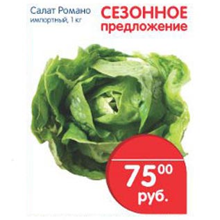 Акция - салат Романо