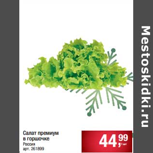 Акция - Салат премиум в горшочке