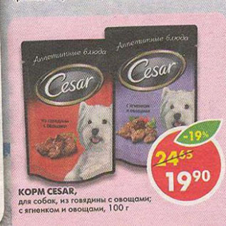 Акция - Корм Cesar, для собак, говядина-овощи; ягненок-овощи