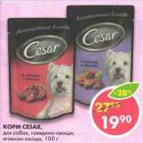 Магазин:Пятёрочка,Скидка:Корм Cesar, для собак, говядина-овощи; ягненок-овощи 