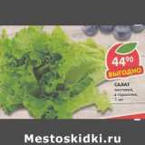 Магазин:Пятёрочка,Скидка:Салат листовой, в горшочке 