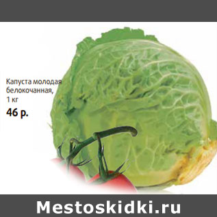 Акция - Капуста молодая белокочанная