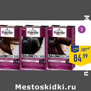 Акция - Крем-краска PALETTE SALON COLORS