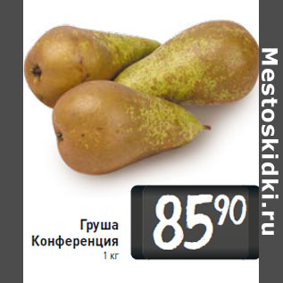 Акция - Груша Конференция