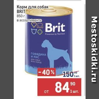 Акция - Корм для собак BRİT