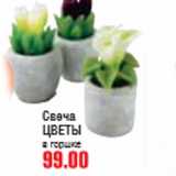 Магазин:Метро,Скидка:СВЕЧА ЦВЕТЫ