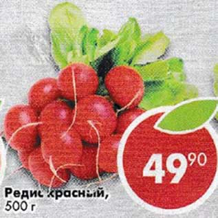 Акция - Редис красный