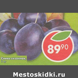Акция - Слива сезонная