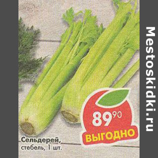 Акция - Сельдерей стебель
