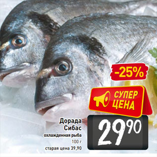 Акция - Дорада Сибас охлажденная рыба