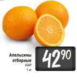 Магазин:Билла,Скидка:Апельсины
отборные
ЮАР