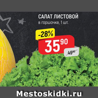 Акция - Салат листовой