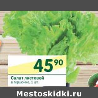 Акция - Салат листовой