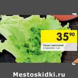 Магазин:Перекрёсток,Скидка:Салат листовой в горшочке 