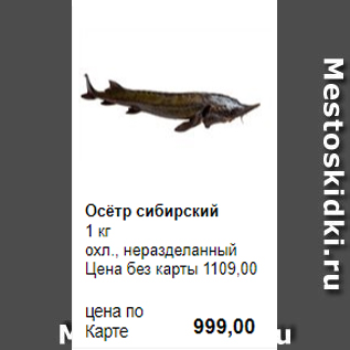 Акция - Осётр сибирский 1 кг охл., неразделанный