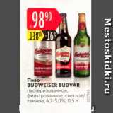Магазин:Карусель,Скидка:Пиво Budweiser Budvar