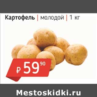 Акция - Картофель молодой