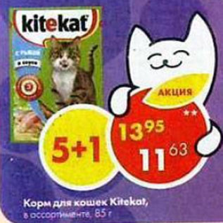 Акция - Корм для кошек Kitekat