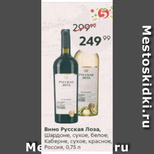Акция - Вино Русская Лоза