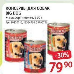 Акция - КОНСЕРВЫ ДЛЯ СОБАК BIG DOG