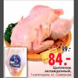 Магазин:Окей,Скидка:Цыпленок
охлажденный,
1 категория, кг, Северная