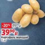 Магазин:Виктория,Скидка:Картофель молодой
1 кг