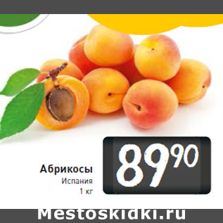 Акция - Абрикосы 90 Испания