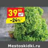 Магазин:Дикси,Скидка:Салат в горшочке 