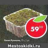 Пятёрочка Акции - Салат Руккола