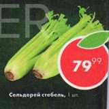 Пятёрочка Акции - Сельдерей стебель