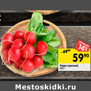 Акция - Редис красный