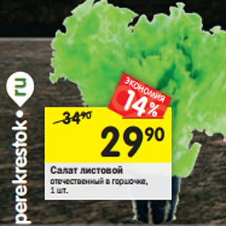 Акция - Салат листовой