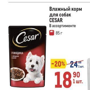 Акция - Влажный корм для собак CESAR