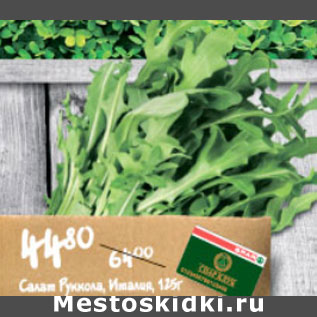 Акция - САЛАТ РУККОЛА