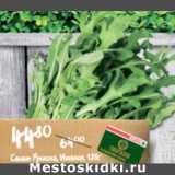 Магазин:Spar,Скидка:САЛАТ РУККОЛА