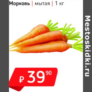 Акция - Морковь