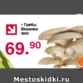 Акция - грибы Вешенки
