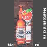 Магазин:Пятёрочка,Скидка:Пиво Bud светлое 5%