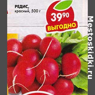 Акция - Редис красный