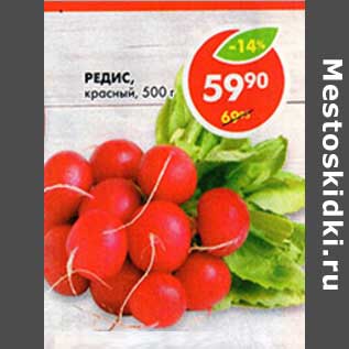 Акция - Редис красный