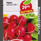 Магазин:Пятёрочка,Скидка:Редис красный 