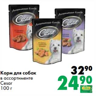 Акция - Корм для собак Cesar