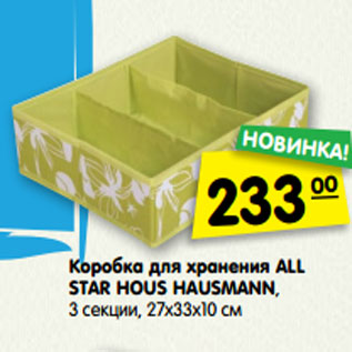 Акция - Коробка для хранения ALL STAR HOUS HAUSMANN,