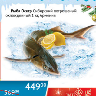Акция - Рыба Осетр Сибирский потрошеный охлажд. Армения