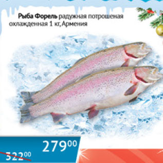 Акция - Рыба форель радужная потрошеная охлажд. Армения