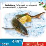 Магазин:Наш гипермаркет,Скидка:Рыба Осетр Сибирский потрошеный охлажд. Армения