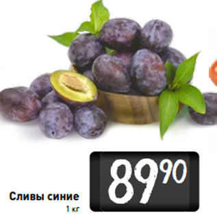 Акция - Сливы синие