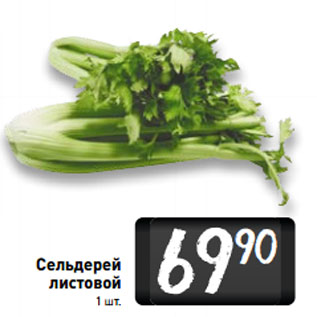 Акция - Сельдерей листовой