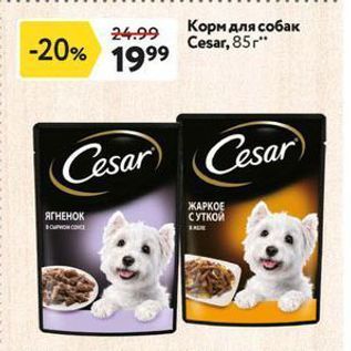 Акция - Корм для собак Cesar
