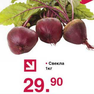 Акция - Свекла